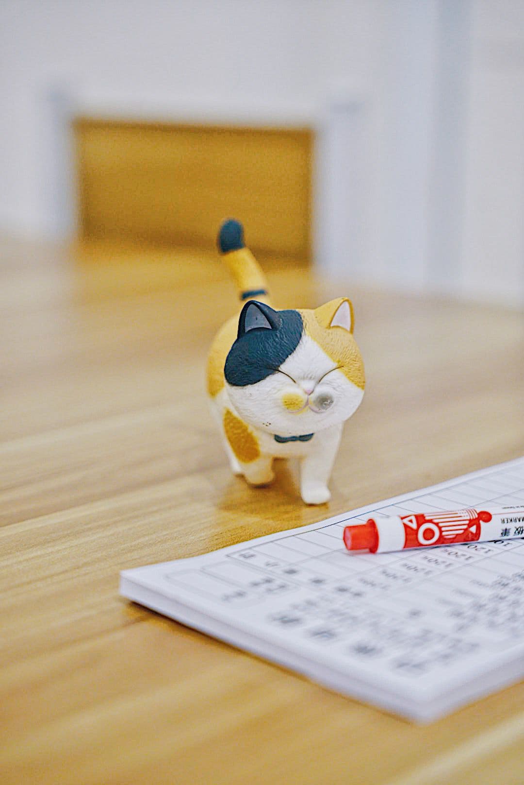 Maker, cat, and table.